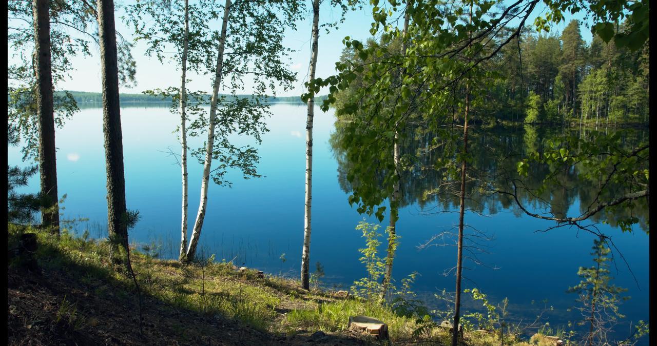 Hotel Kruunupuisto Punkaharju Dış mekan fotoğraf