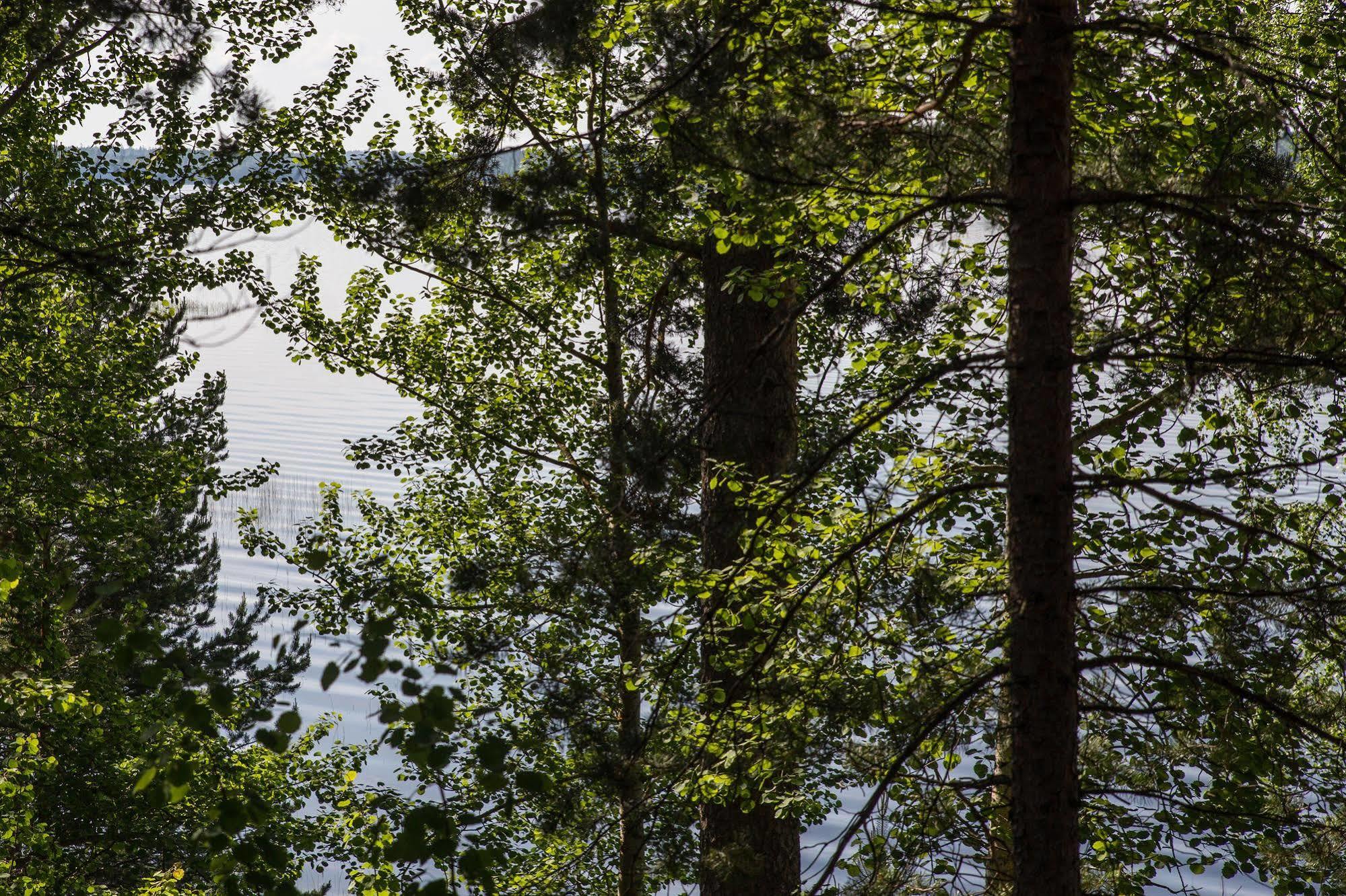 Hotel Kruunupuisto Punkaharju Dış mekan fotoğraf
